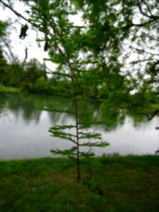 DSC05144 