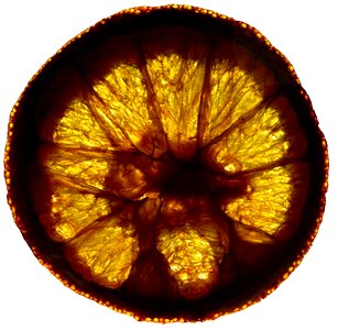 Circle color the rays