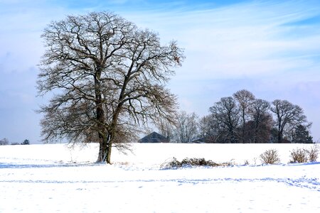 Single silhouette nature photo