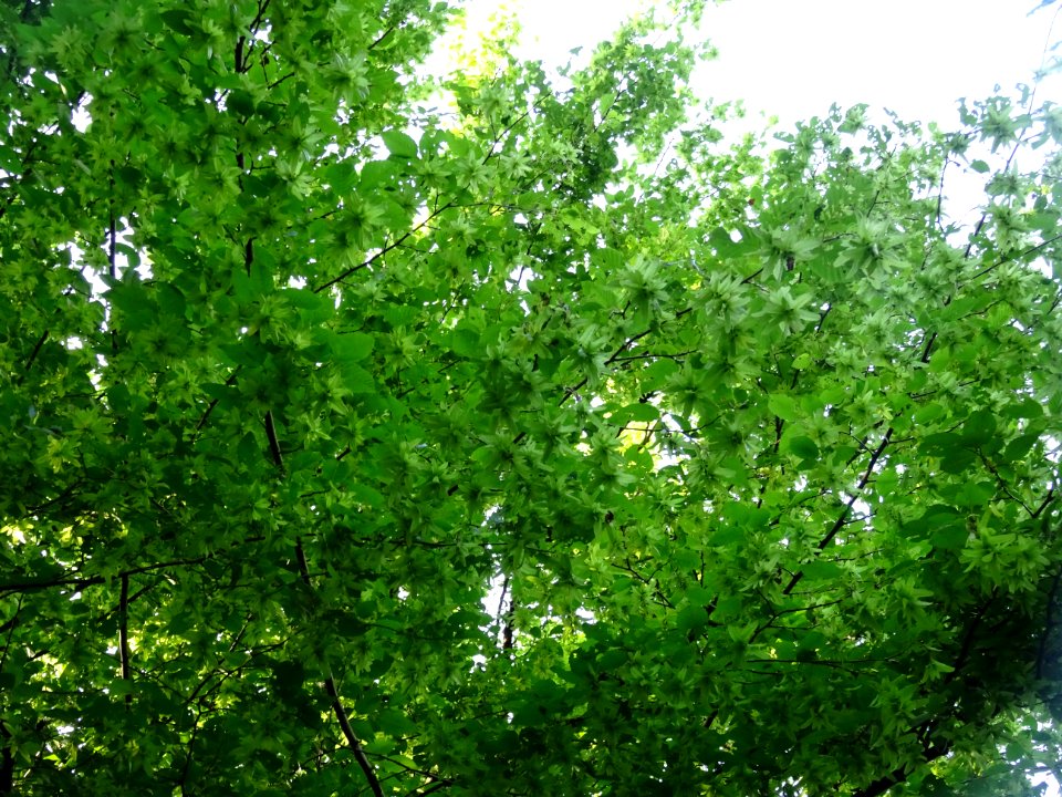 DSC07369 