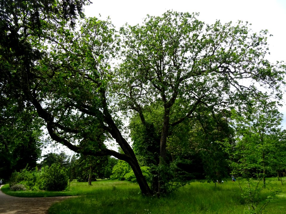 DSC06809 