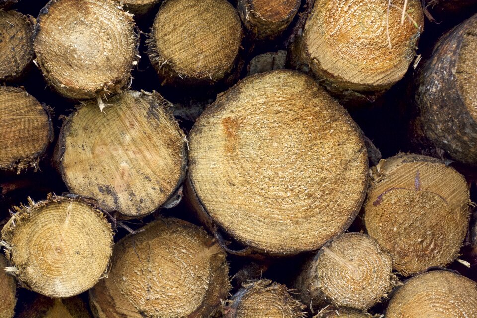 Timber outdoors natural