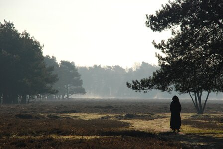 Heide hiking trees