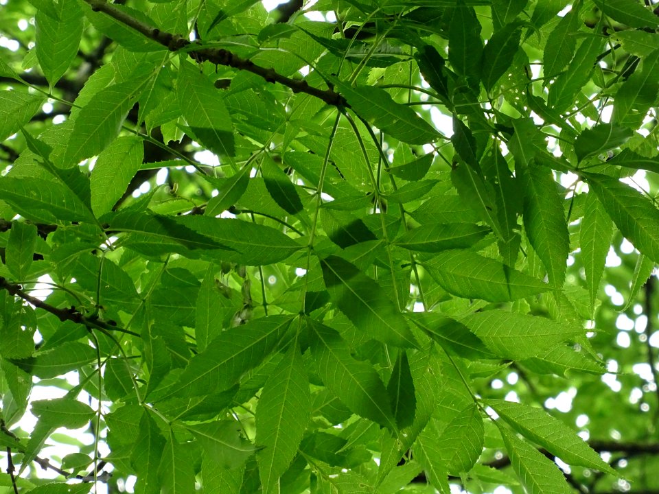 DSC08750 