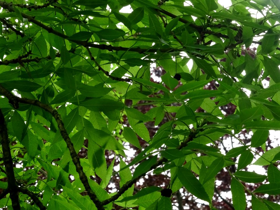 DSC08746 
