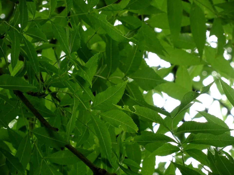 DSC08751 