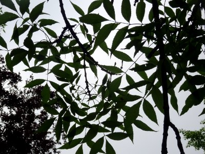 DSC08748 