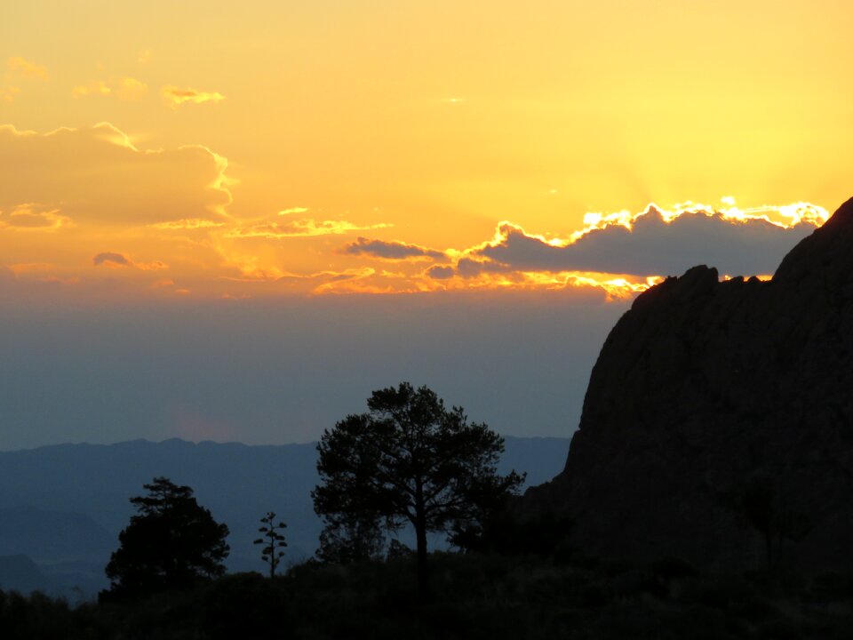 Summer nature landscapes