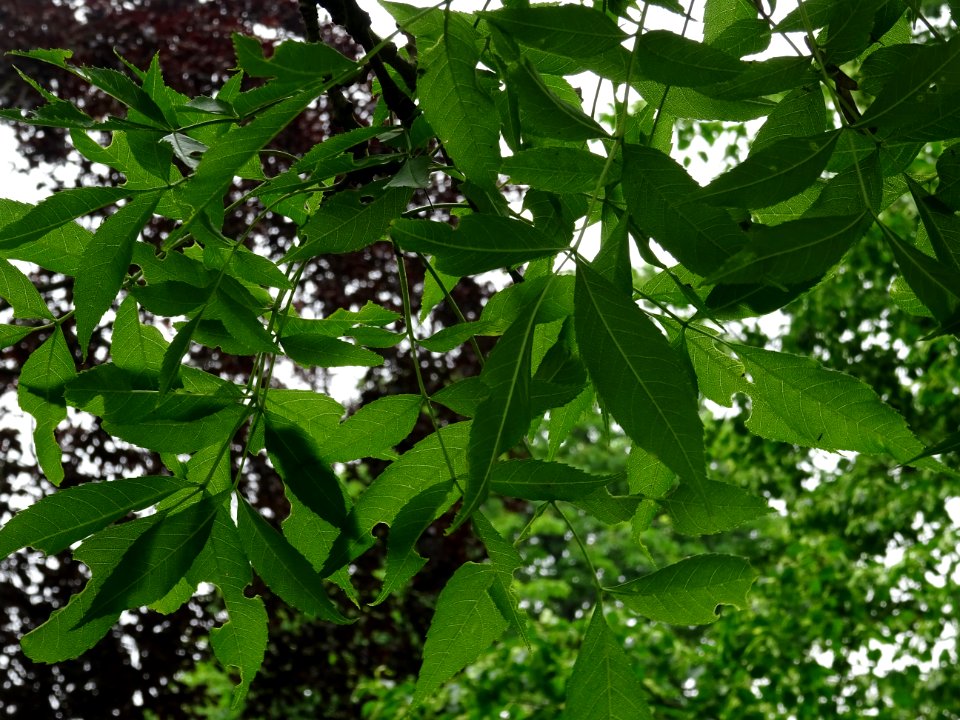 DSC08753 