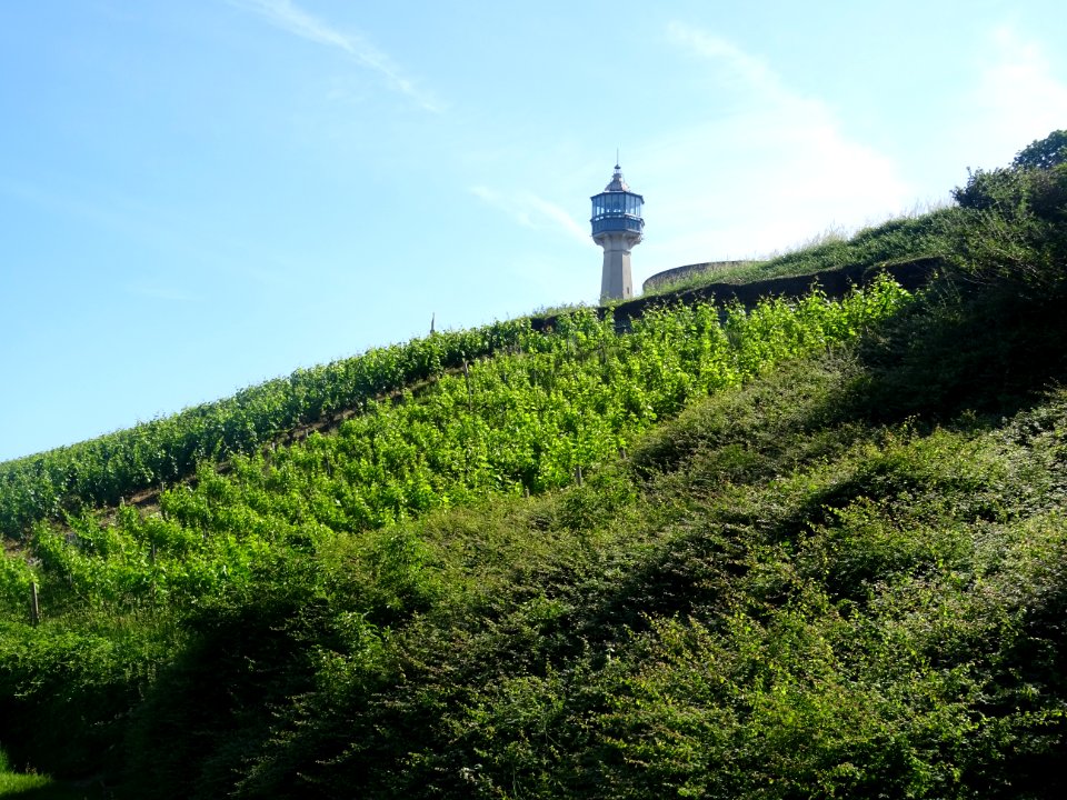 Le phare de Verzenay, Verzenay, Marne 