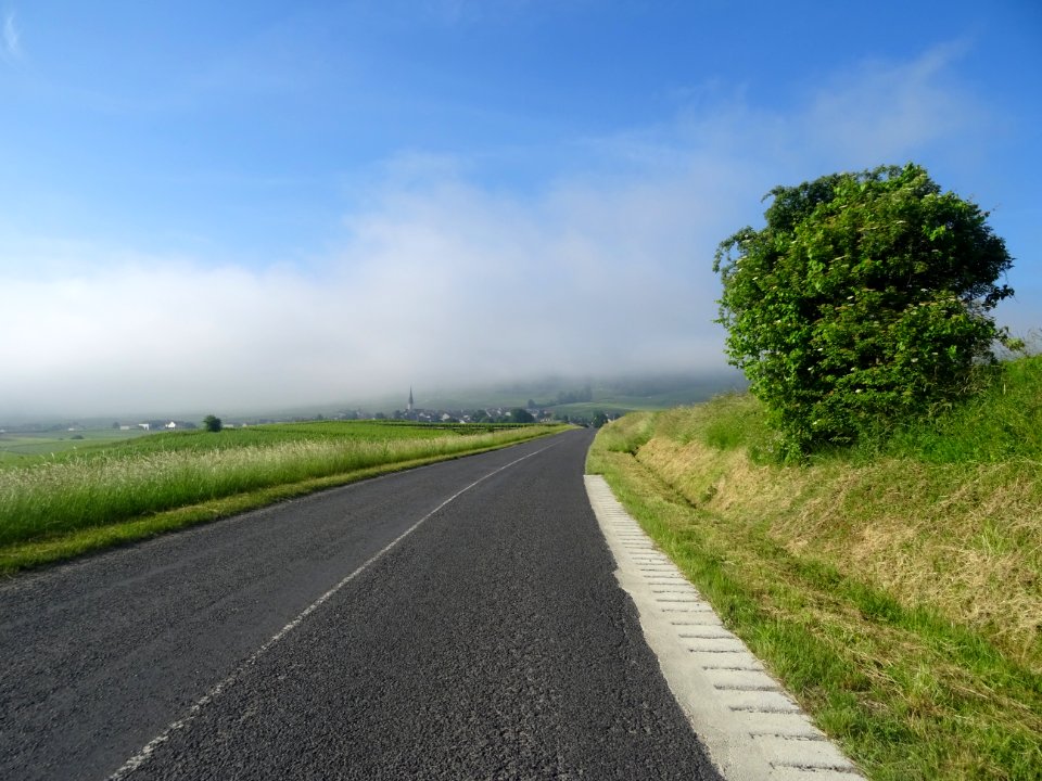 Entre Ecueil et Chamery, sur La route Tour du Champagne d… | Flickr