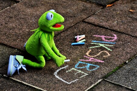 Frog chalk paint photo