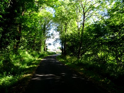 Lumière du soir sur la petite D64 entre Favard et Freix-An… 