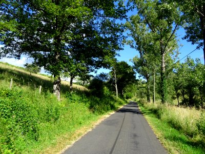 Lumière du soir sur la petite D64 entre Favard et Freix-An… 