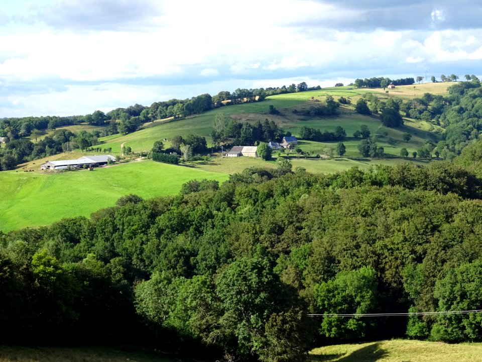 Entre Favard et Freix-Anglards, Cantal 
