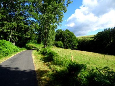 Lumière du soir sur la petite D64 entre Favard et Freix-An… 