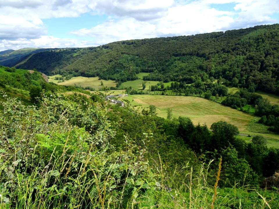 Vallée de la Bertrande, Cantal 