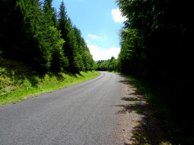 Route qui monte depuis Albepierre au col de Prat-de-Bouc, … 