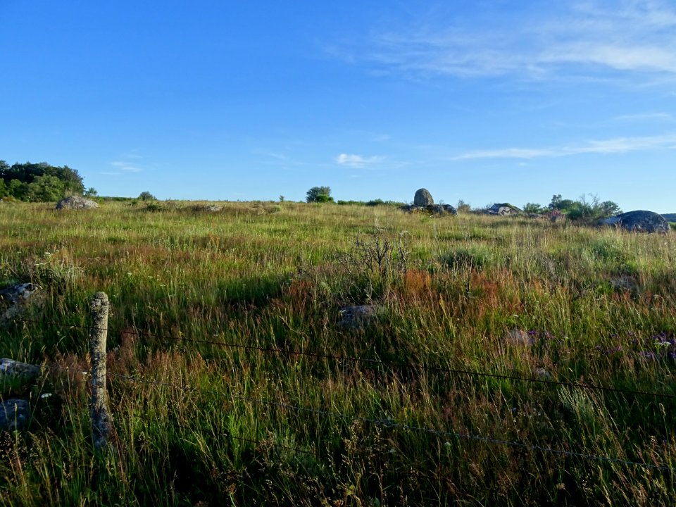 DSC01089 