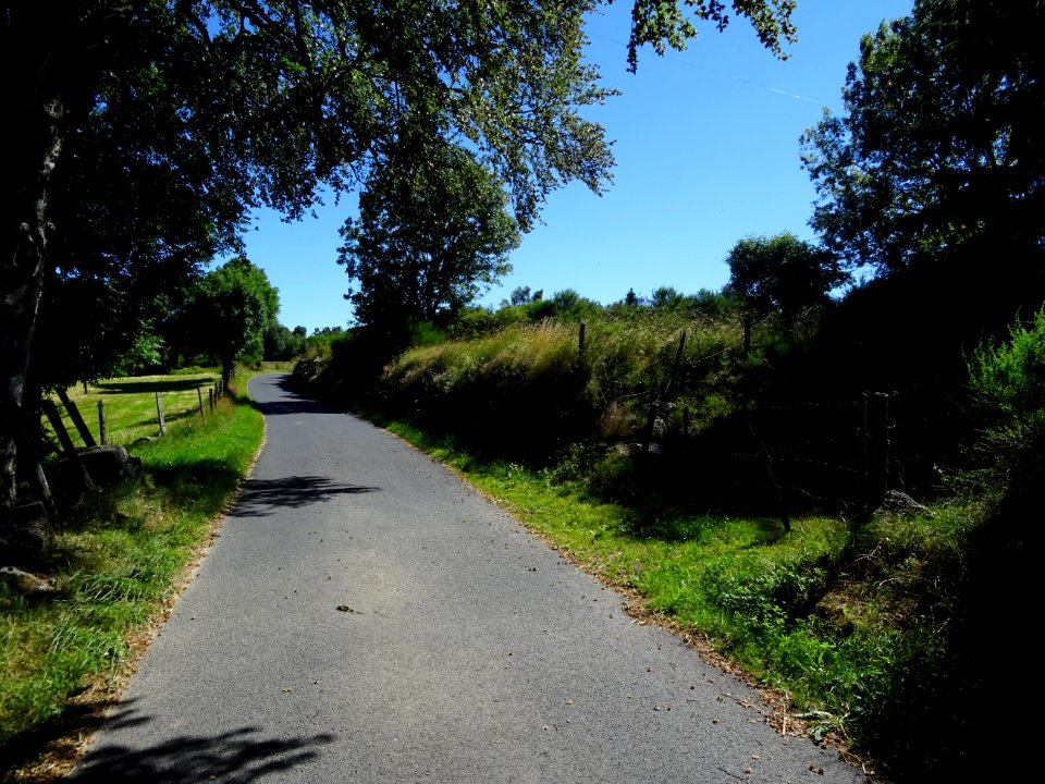 Montée vers Reyrac et le Cheylaret, Lozère 