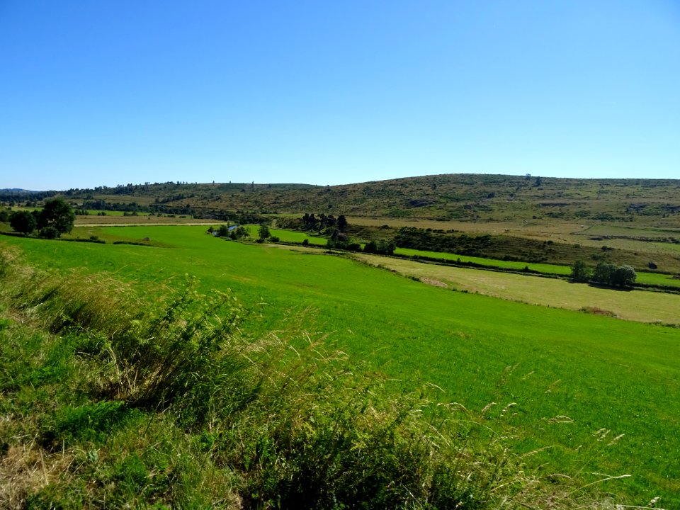 Prairies au nord de St Urcize, Cantal 