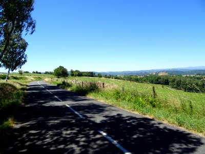 DSC01294 