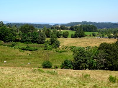 Paysage entre Chauchailles et Fournels, Lozère 