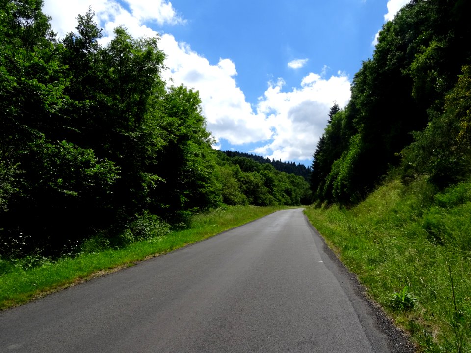Route qui monte depuis Murat au col de Prat-de-Bouc, Canta… 