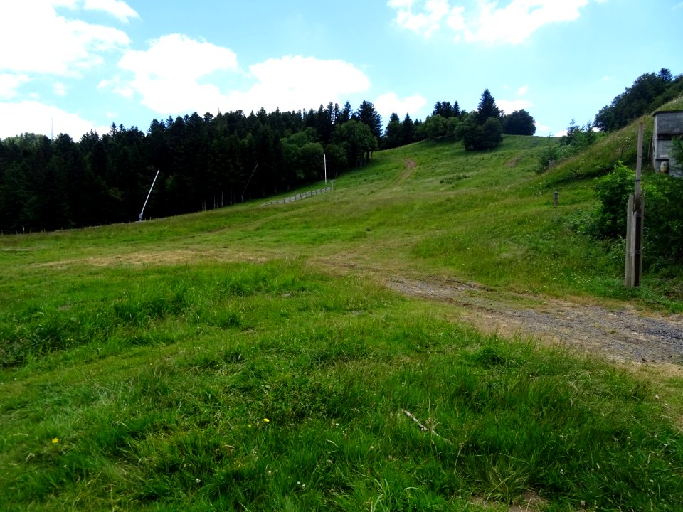 Piste de ski, bien verte et bien en herbe, Col de Font de … 