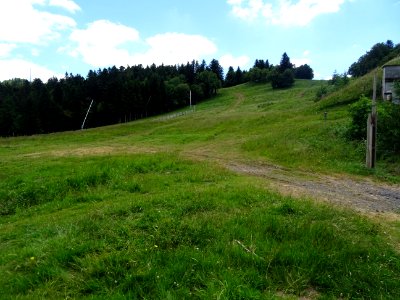 Piste de ski, bien verte et bien en herbe, Col de Font de … 