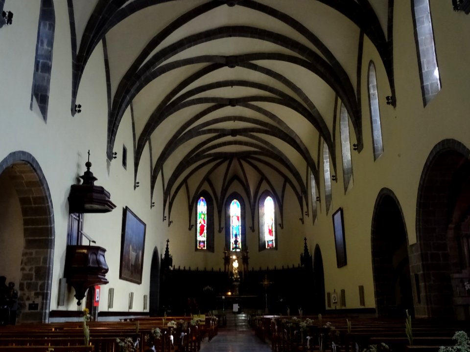 Nef, église Notre-Dame-aux-Neiges, Aurillac, Cantal 