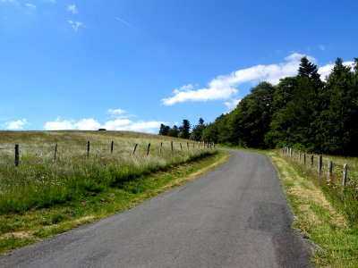 DSC00864 