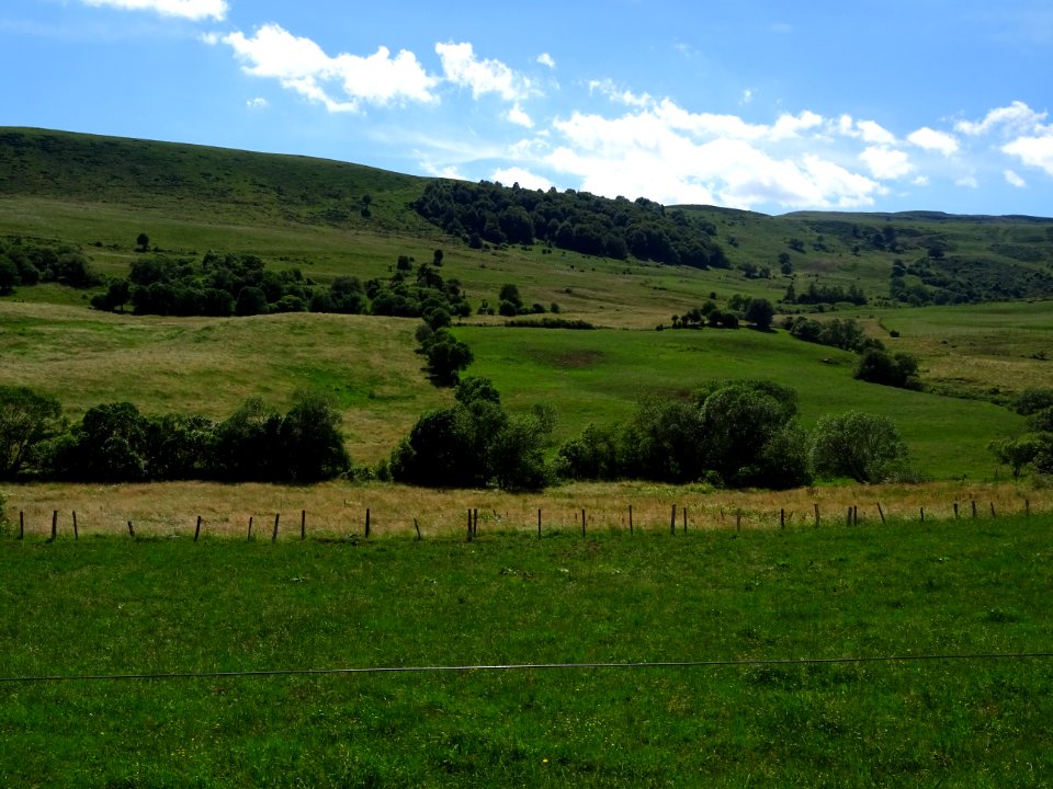 Entre le Puy de la Jambe et la Sagnette, Cantal 