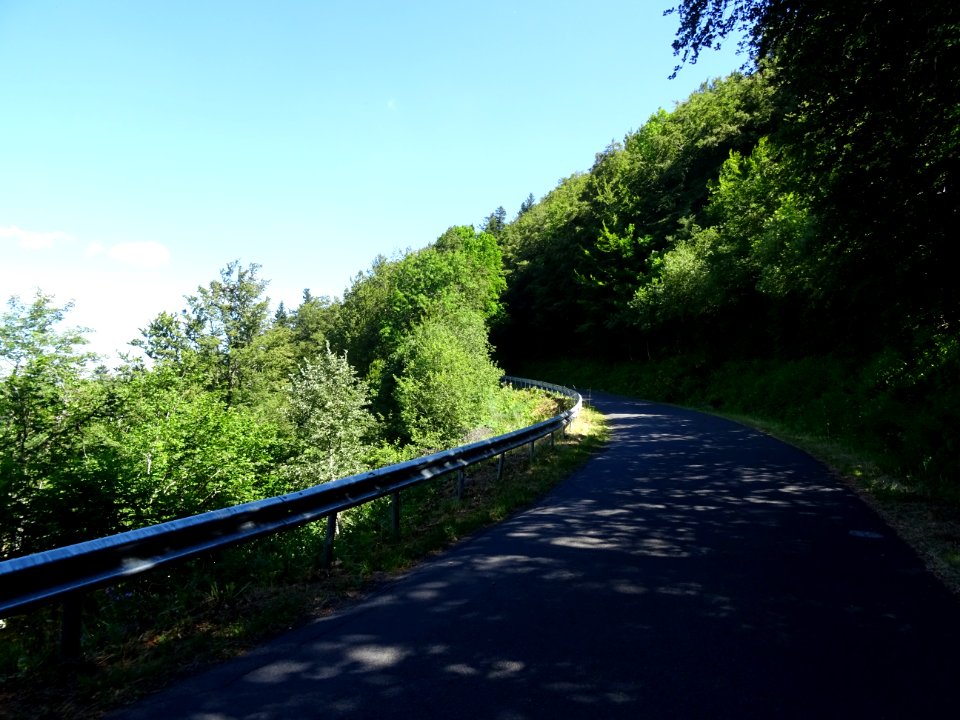 DSC00846 