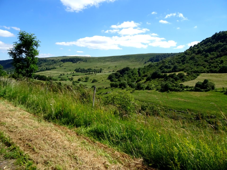 Entre le Puy de la Jambe et la Sagnette, Cantal 