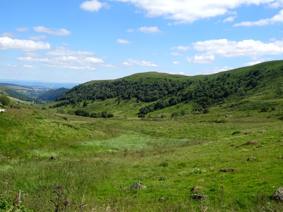 Prairies grasses au col de Prat-de-Bouc, vue vers le Sud-E… 