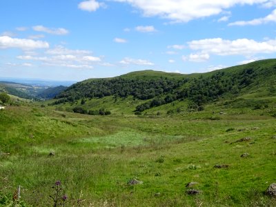 Prairies grasses au col de Prat-de-Bouc, vue vers le Sud-E… 