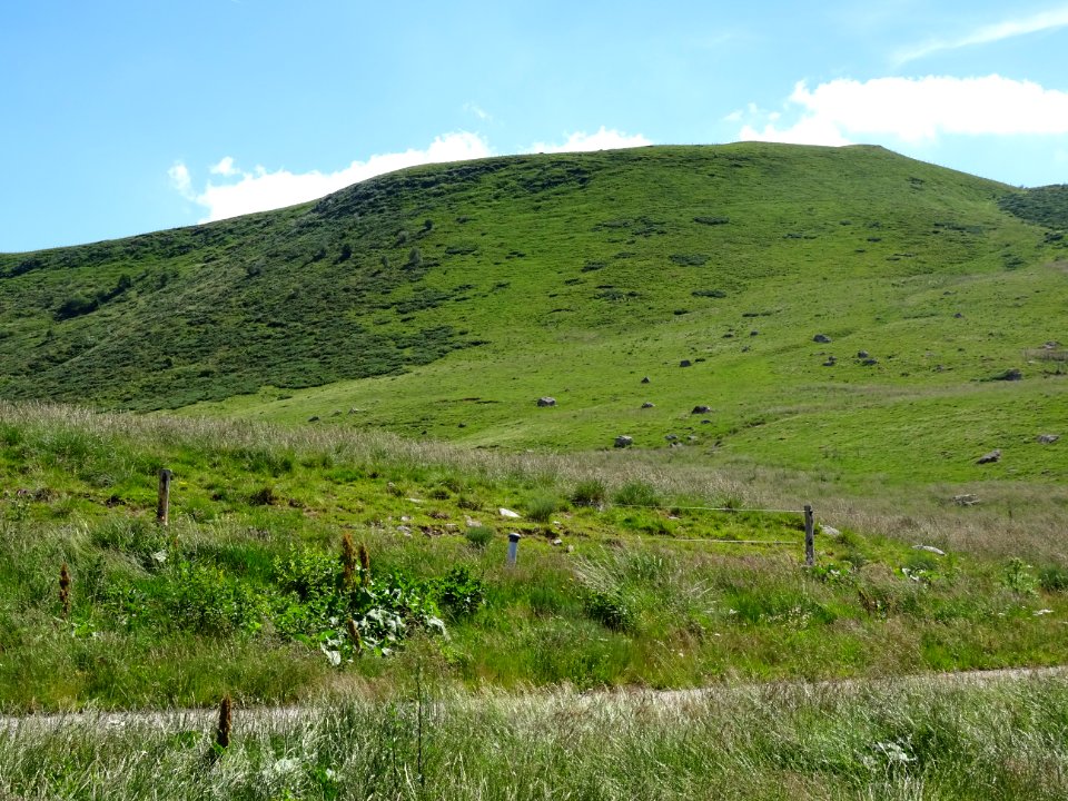 Prairies grasses au col de Prat-de-Bouc, Cantal 