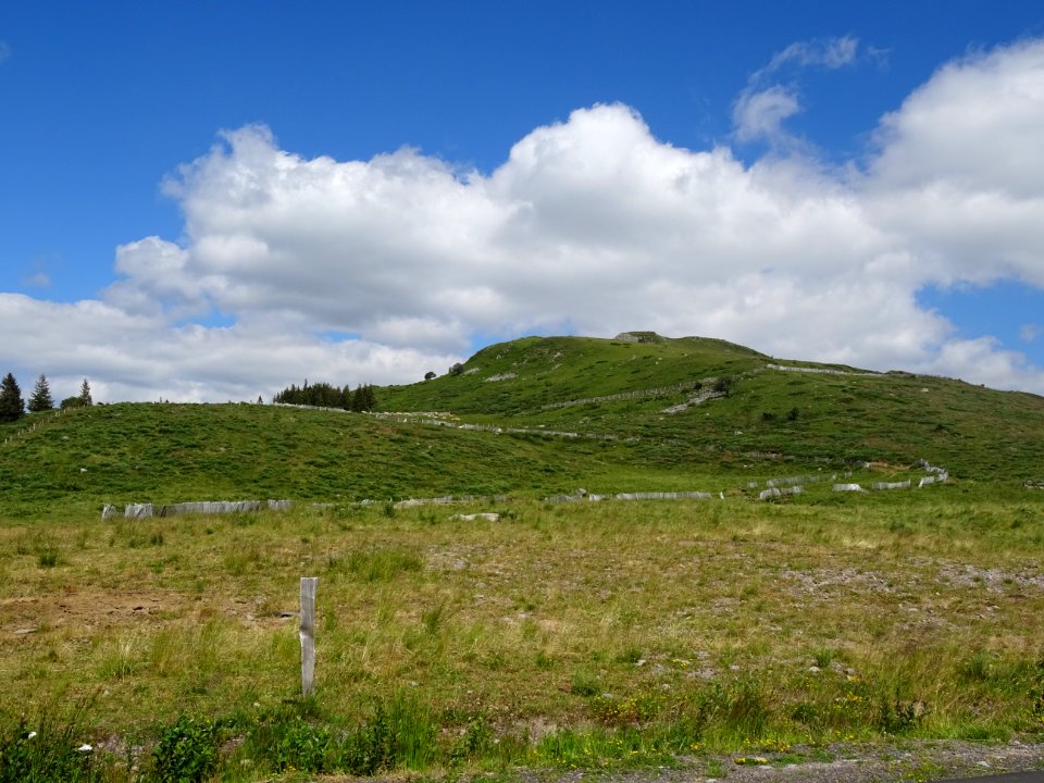 Prairies au Col de Prat-de-Bouc, Cantal 