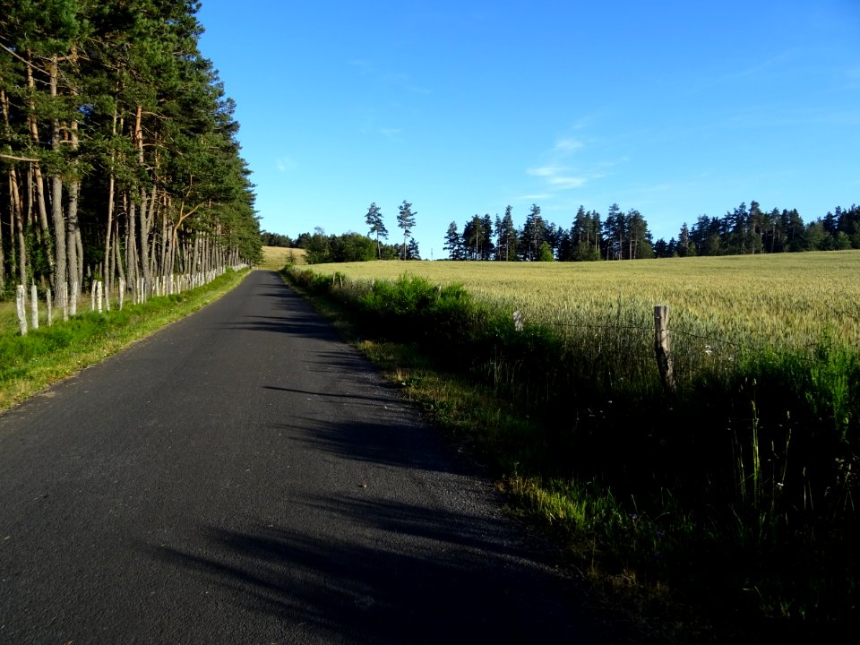 DSC01078 