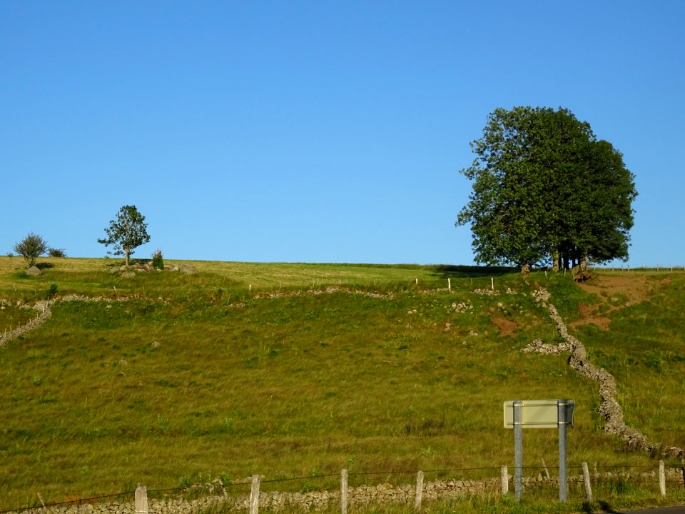 DSC01111 