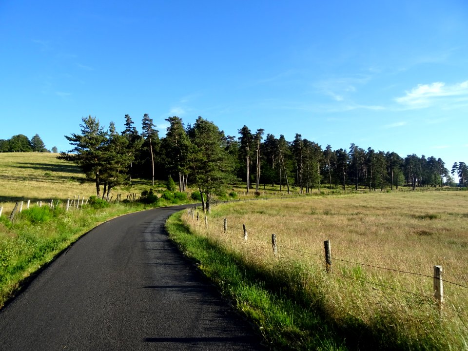 DSC01075 