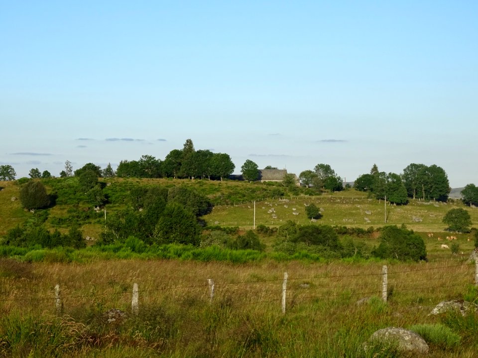 DSC01090 