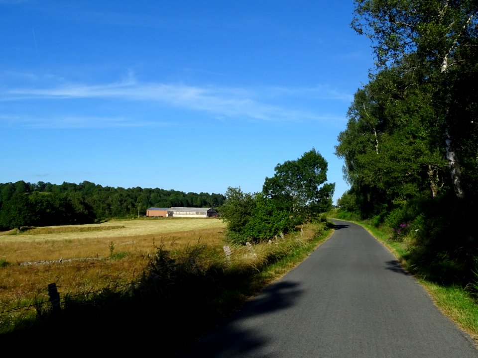 DSC01034 