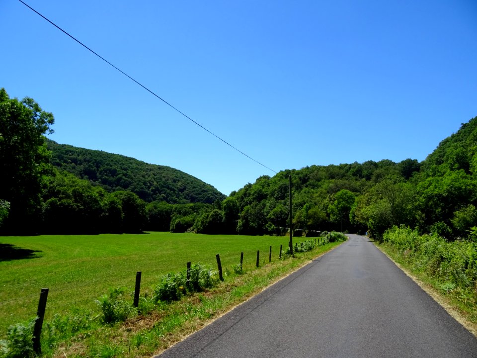 DSC01889 