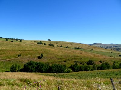 Grandes étendues herbeuses en montant au nord d'Allanche v… 
