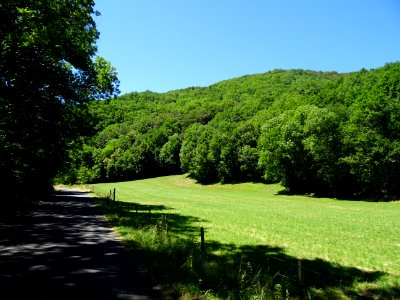 DSC01886 