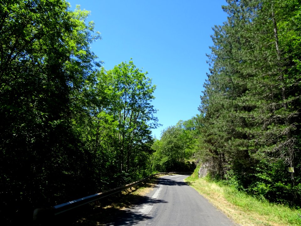 La route descend et suit les gorges de la Rhue 