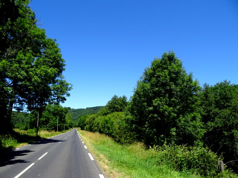 Sur la route entre Riom-ès-Montagnes et Coindre, Cantal 