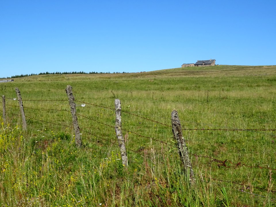 Burons avant le Col de Montirargues, Cantal 
